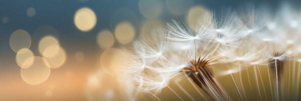 AI generated Abstract blurred nature background dandelion seeds parachute. Bokeh pattern. Generative AI photo