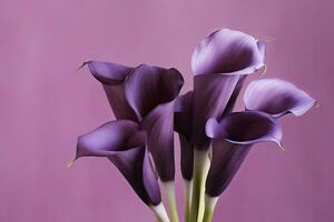 ai generado ramo de flores de púrpura calla lirios en contra púrpura fondo.ai generado foto