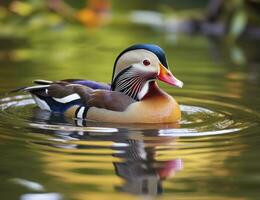 AI generated Closeup of mandarin duck swimming in lake. generative AI. photo