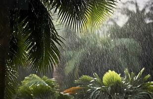 ai generado lluvia en el zona tropical durante el bajo temporada o monzón estación. gotas de lluvia en un jardín. generativo ai foto