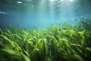 AI generated Underwater view of a group of seabed with green seagrass. AI Generated photo