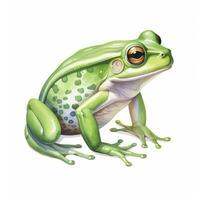 AI generated Watercolor green frog on white background.  AI Generated photo