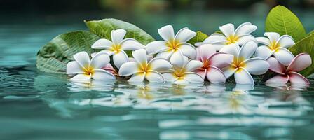 ai generado plumeria flores en verde hoja flotante en agua. un pacífico y sereno escena con un toque de naturaleza y belleza. ai generado foto