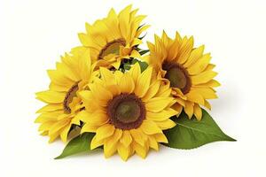 AI generated Sunflowers isolated on white background. AI Generated photo