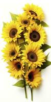 AI generated Sunflowers isolated on white background. AI Generated photo