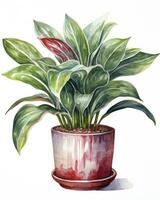 AI generated Watercolor potted houseplant isolated on white background. AI Generated photo