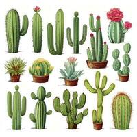 ai generado el cactus conjunto en blanco antecedentes. clipart ilustraciones. ai generado foto