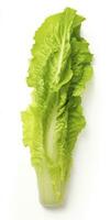 AI generated Lettuce isolated on white background. AI Generated photo