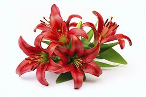 AI generated Red Lilies isolated on white background. AI Generated photo