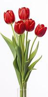 AI generated Red tulips isolated on white background. AI Generated photo