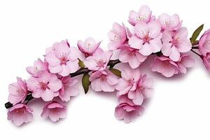 AI generated Sakura flowers isolated on white background. AI Generated photo