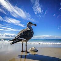 AI generated Seagull on the beach under blue sky. photo