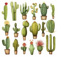 ai generado el cactus conjunto en blanco antecedentes. clipart ilustraciones. ai generado foto