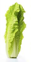 AI generated Lettuce isolated on white background. AI Generated photo