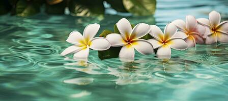 ai generado plumeria flores en verde hoja flotante en agua. un pacífico y sereno escena con un toque de naturaleza y belleza. ai generado foto