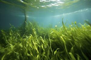 AI generated Underwater view of a group of seabed with green seagrass. AI Generated photo