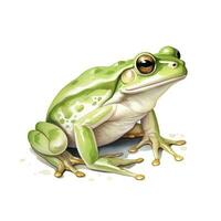 AI generated Watercolor green frog on white background.  AI Generated photo