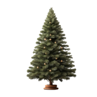 christmas tree isolated on transparent background png