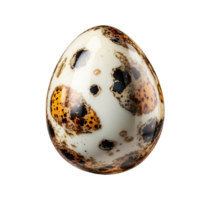 AI generated quail eggs isolated on transparent background png