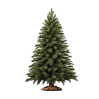 christmas tree isolated on transparent background png