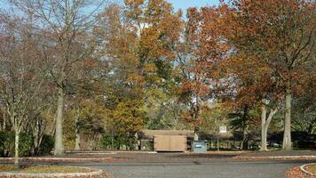 The colorful and beautiful leaves on the trees in autumn photo