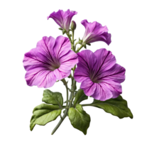 ai généré pétunia fleurs isolé sur transparent Contexte png