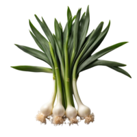 AI generated Scallions isolated on transparent background png