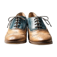 AI generated vintage shoes isolated on transparent background png