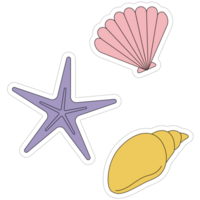 AI generated three seashells and starfish on a transparent background png