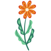 AI generated orange flower with green leaves on transparent background png