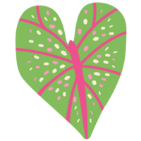 AI generated a heart shaped plant with pink and green leaves png