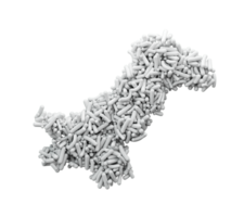 carte du pakistan faite avec du sucre arrose l'illustration 3d de couleur verte et blanche png