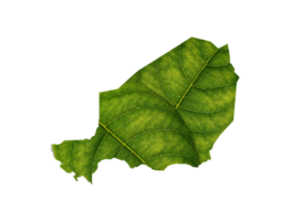 Niger map made of green leaves ecology concept png