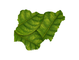 Nigeria map made of green leaves ecology concept png