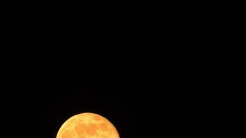 Moon in night sky video