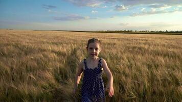 menina corre através a campo com trigo video
