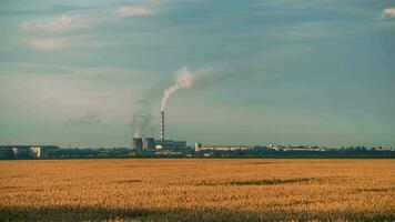 thermique Puissance plante près champ dans le soir video