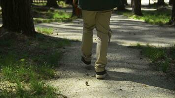 Man walks with dog in summer recreation park. Stock footage. Man walks with dog on leash on sunny summer day in park. Man with dog walks in summer forest photo