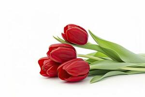 AI generated Red tulips isolated on white background. AI Generated photo