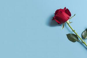 AI generated Red rose flower on blue background. Romantic Valentine's holiday concept. AI Generated photo