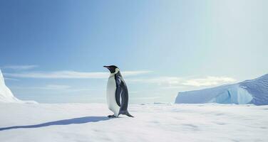 ai generado pingüino en pie en Antártida mirando dentro el azul cielo. ai generado foto