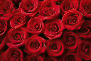AI generated Red Rose Background for Valentine's Day. AI Generated photo