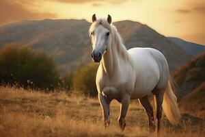 ai generado blanco caballo o yegua en el montañas a puesta de sol. ai generado foto