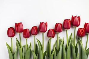 AI generated Red tulips isolated on white background. AI Generated photo