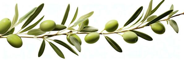 AI generated Olive tree branch, green olives and leaves on white background. AI Generated. photo