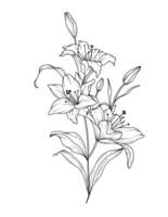 Lily Line Drawing. Black and white Floral Bouquets. Flower Coloring Page. Floral Line Art. Fine Line Lilies illustration. Hand Drawn flowers. Botanical Coloring. Wedding invitation flowers vector