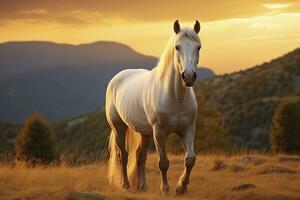 ai generado blanco caballo o yegua en el montañas a puesta de sol. ai generado foto
