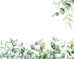 Eukalyptus Aquarell rahmen. Eukalyptus Grün Rahmen Hand gemalt isoliert auf Weiß Hintergrund. perfekt zum Hochzeit Einladungen, Blumen- Etiketten, Braut- Dusche und Blumen- Gruß Karten png