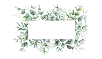 Eucalyptus Watercolor Frame. Eucalyptus Greenery Frame Hand Painted isolated on white background.  Perfect for wedding invitations, floral labels, bridal shower and  floral greeting cards png