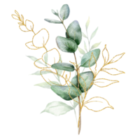 eukalyptus vattenfärg illustration. eukalyptus grönska hand målad isolerat på vit bakgrund. perfekt för bröllop inbjudningar, blommig etiketter, brud- dusch och blommig hälsning kort png